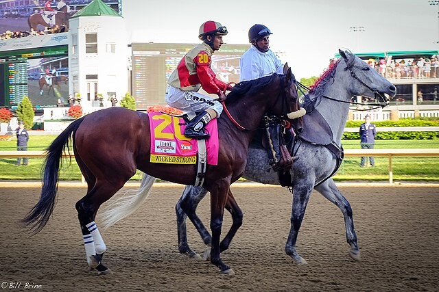 FUN FACTS ABOUT THE KY DERBY visual data 4