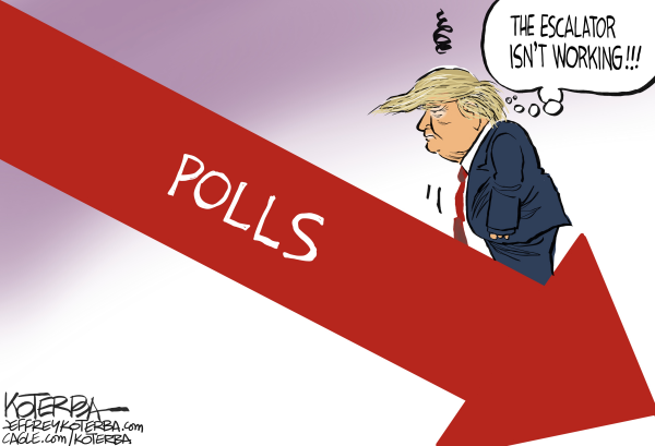 Political Cartoons From Jeff Koterba | Light Wave