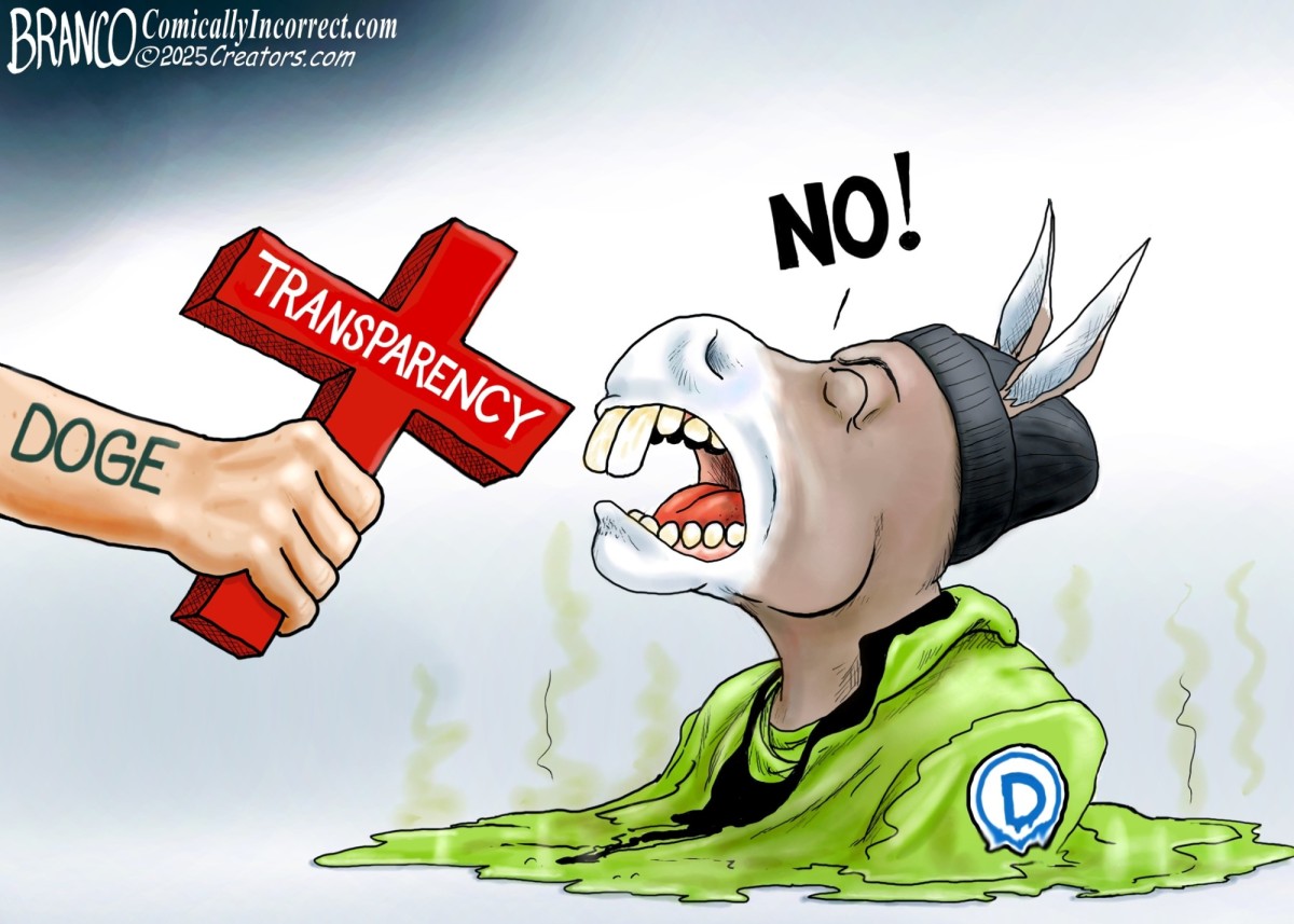 [Linked Image from lightwavereports.com]